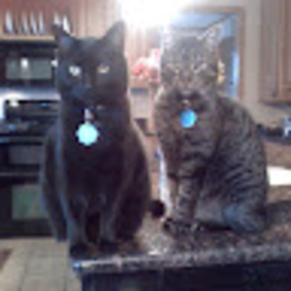 Profile Picture of Paula Krueger (@paulajean23) on Poshmark