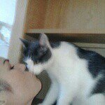 Profile Picture of Kelli Blodgett (@irishblueyes33) on Instagram