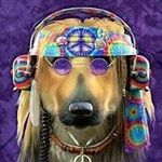 Profile Picture of Beth Clingerman (@bethclingerman) on Instagram