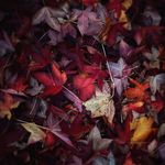 Profile Picture of Gaurav Datta (@gaurav_datta) on Instagram