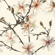 Profile Picture of Harold Davis Photography (@Digitalfieldguide) on Youtube