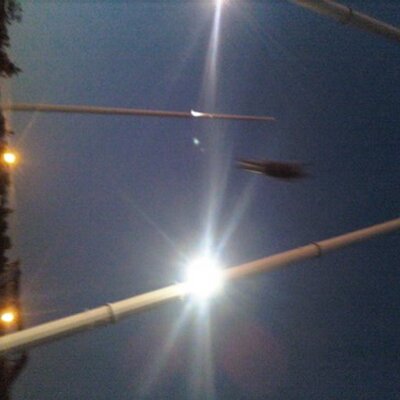 Profile Picture of Amanda Nevins (@AmandaNevins04) on Twitter
