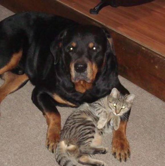 Profile Picture of Montana Stopko (@stopko24) on Poshmark