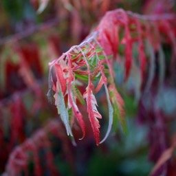 Profile Picture of Manisha Saha Roy (@Manisharoy113) on Twitter