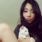 Profile Picture of Yiyi Zhang (@dreamwithyiyi) on Instagram