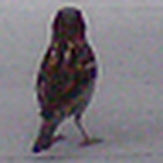 Profile Picture of Aaron (@me&lane) on Flickr