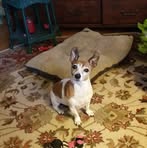 Profile Picture of Nan Mattox (@nan.mattox) on Facebook