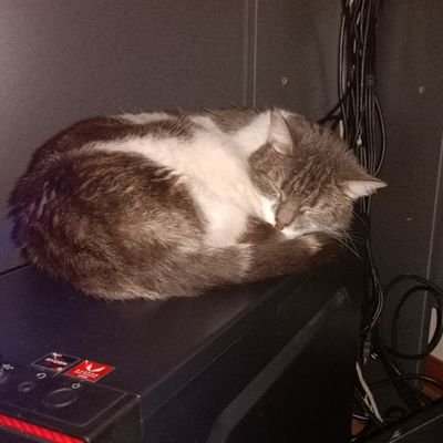 Profile Picture of Jeremy (@JeremyMckenna5) on Twitter