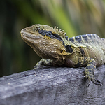 Profile Picture of S.Saunders Photography (@S.Saunders Photography) on Flickr