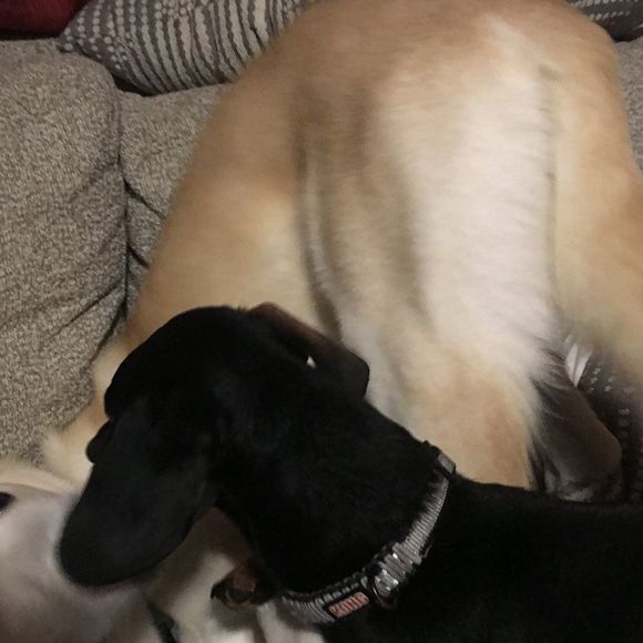 Nikki Jukiewicz - Poshmark Profile Picture of Nikki Jukiewicz (@jukiewicz4) on Poshmark