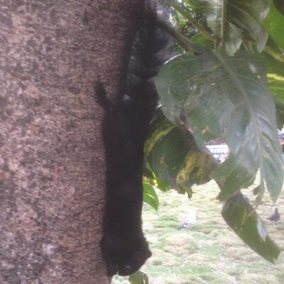 Profile Picture of Anderson Jimenez (@ander00001) on Twitter