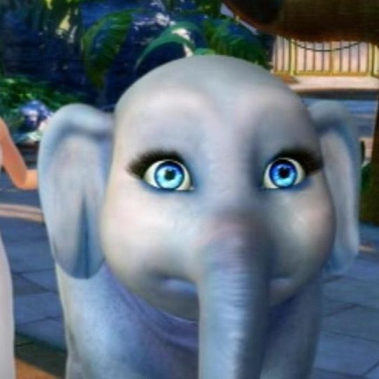 Profile Picture of Kathleen Cullen (@kathleencullen) on Tiktok