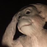 Profile Picture of Gabriel Mcmahon (@whos.gabriel) on Instagram