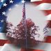 Profile Picture of Scott L Harris (@scottl.harris.71) on Facebook