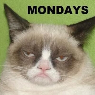 Profile Picture of Andrew McCune (@3asy104) on Twitter