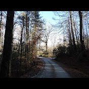 Profile Picture of Michael Thombs (@michaelthombs3802) on Youtube