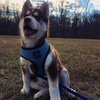 Profile Picture of Dennis Elias (@@dennisitow) on Tiktok