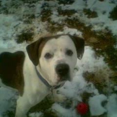 Profile Picture of Steve Labus (@125103749) on Myspace