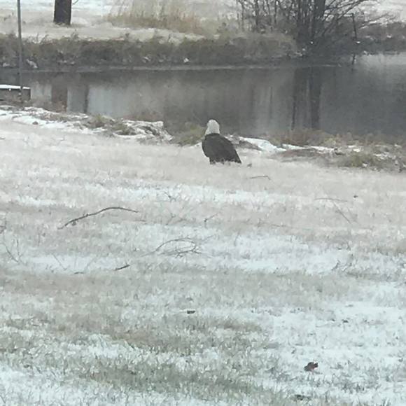 Barb mitchell Bishop - Poshmark Profile Picture of Barb mitchell Bishop (@barbbishop59) on Poshmark