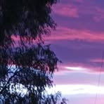 Daniel Borbolla - Facebook Profile Picture of Daniel Borbolla (@Daniel-Borbolla) on Facebook