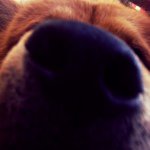 Profile Picture of Juan Jose Idrovo (@juanjoseidrovoo) on Instagram