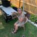 Profile Picture of Tracie Ciolek Killius (@tracie.ciolekkillius) on Facebook