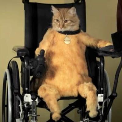 Profile Picture of Rusty Crowe (@RustyCrowe70) on Twitter