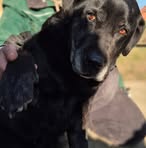 Profile Picture of Cora Hemmerling (@hemmerling.consulting) on Facebook