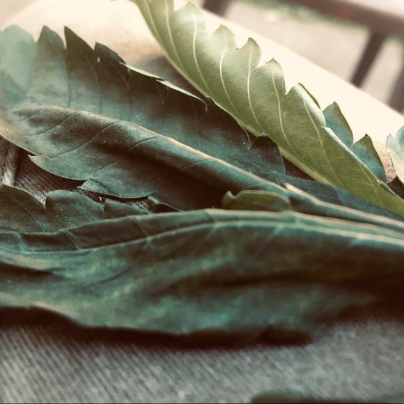 Profile Picture of Alexis Schoger (@alexisschoger) on Poshmark