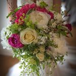 Profile Picture of Sharon Wright (@wildwithloveflowers) on Instagram