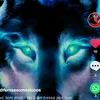 Profile Picture of @samurai1324 (@ricardowalter8) on Tiktok