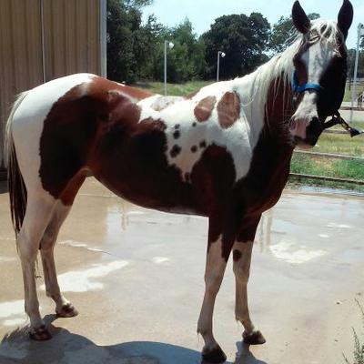 Profile Picture of Lacie Walls (@Lacie_Walls) on Twitter