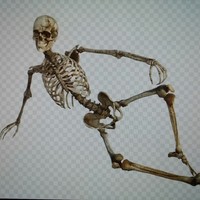 Profile Picture of Adam O Buk (@adam-o-buk) on Quora