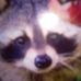 Profile Picture of James Tafoya (@james.tafoya.5203) on Facebook