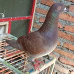 Profile Picture of Jon Koner (@Jon-Koner) on Facebook