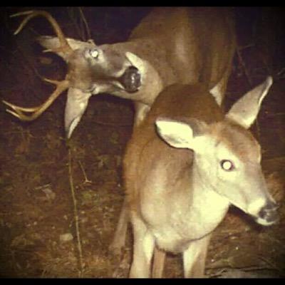 Profile Picture of Kyle Toner (@toner_kyle) on Twitter