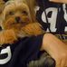 Profile Picture of Thomas Fontenot (@thomas.fontenot.54) on Facebook