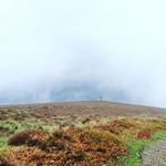 Profile Picture of Marion Jerome (@jjdollars) on Instagram