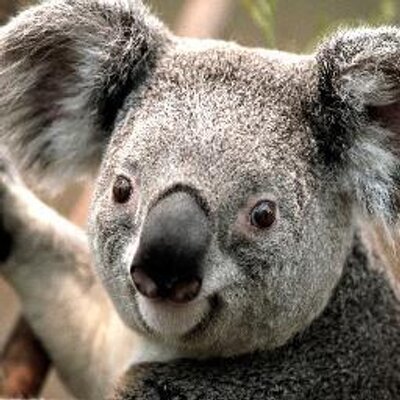 Profile Picture of Garret (@GarretVance) on Twitter