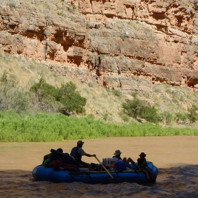 Profile Picture of Richard M. Warnick (@rmwarnick) on Twitter