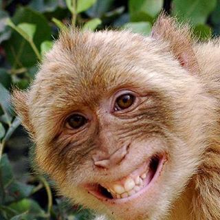 Profile Picture of Mark Saarinen (@Mark-Saarinen) on Facebook