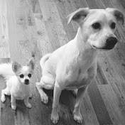 Profile Picture of Kelli Williams (@kellilee215) on Youtube