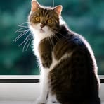 Profile Picture of Mellissa Pillay (@Mellissa-Pillay) on Facebook