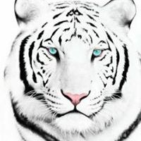 Profile Picture of Daniel Rico (@principe1979) on Pinterest