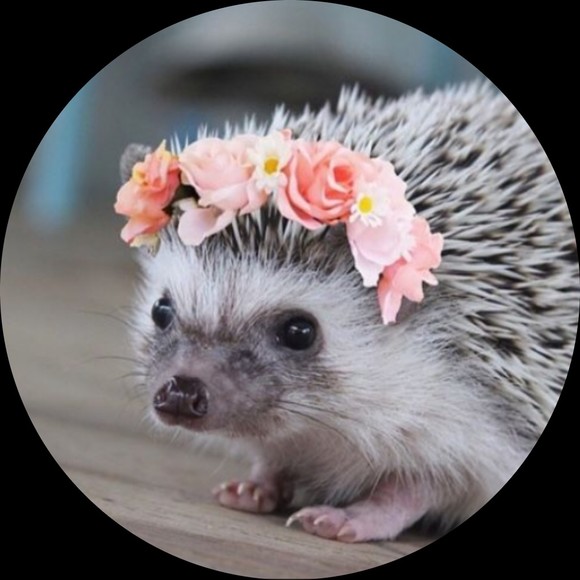 Profile Picture of Lynette Cornell (@hikebikecamp) on Poshmark