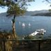 Profile Picture of Janet Corey (@jmc1272) on Pinterest