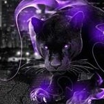 Profile Picture of bradleybutler (@bradleybutler9460) on Instagram