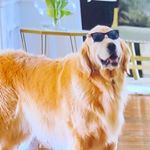 Profile Picture of Autumn Kohli (@pleasureland_museum) on Instagram