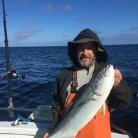 Profile Picture of Matthew Skowron (@matthew-skowron-2) on Quora