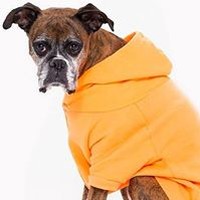 Profile Picture of Moniker Lecrivain Lutz (@moniker-lecrivain-lutz) on Quora